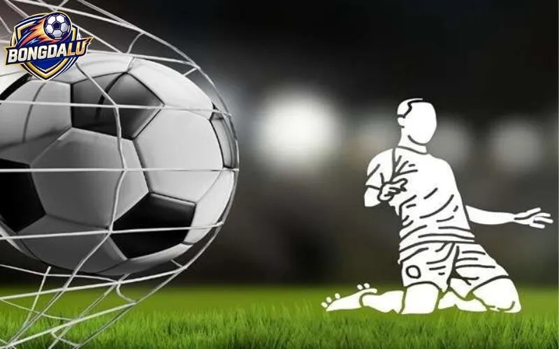 Giới Thiệu Bongdallu1